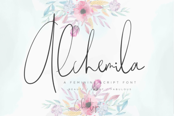 Alchemila Script Font: Sophisticated Hand-Lettered Style