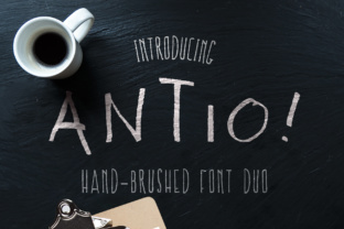 Antio Duo Review: A Designer’s Honest Take on This Script