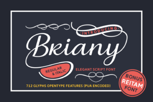 Briany Font: Swashy Script for Editorial Flair