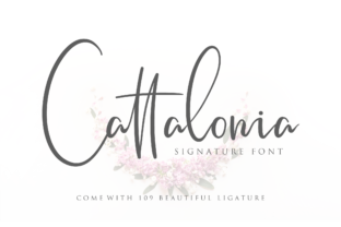 Cattalonia: A Signature Typeface That Lifts Every Campaign