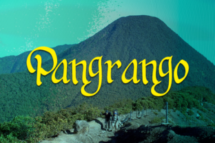 Pangrango Font: Handwritten Script for Business Branding