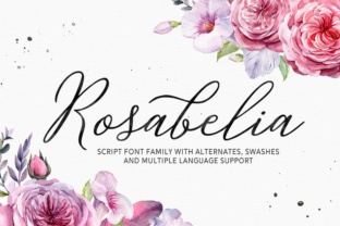 Rosabelia: A Modern Script Font for Real Branding Work