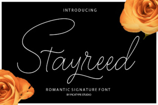 Stayreed: A Delicate Calligraphy Font for Makers
